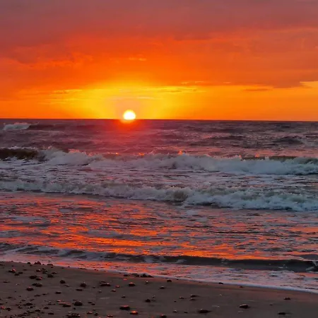 Seaside Harmony *